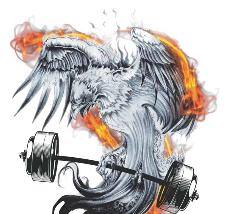 Fénix con una barra, logo de Educación Fitness